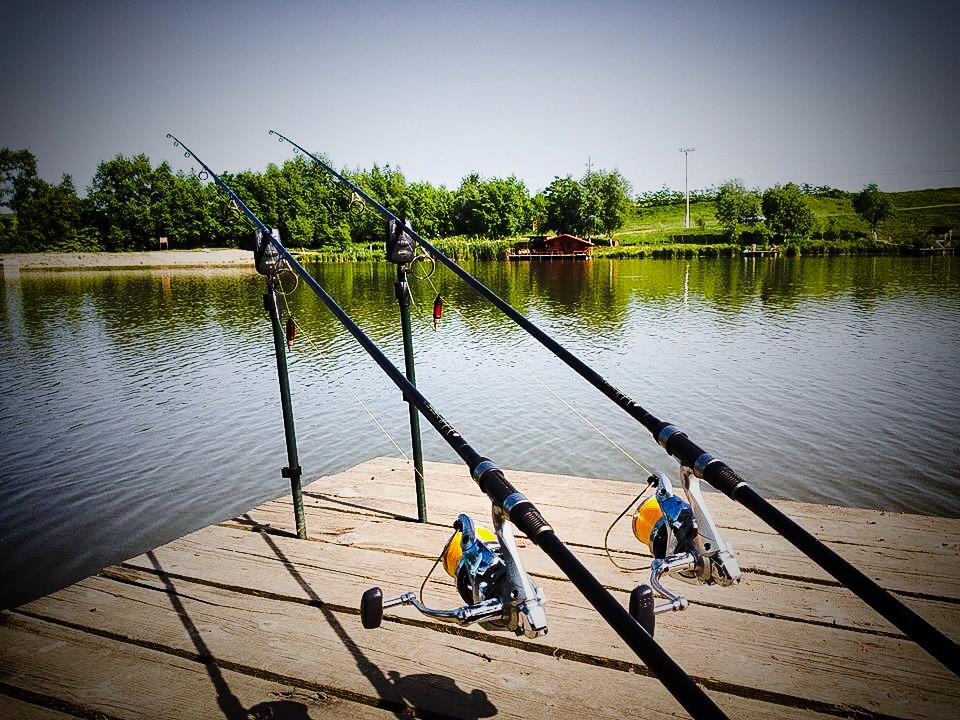 2013 - 2 - image11111111111111111111111111.jpg